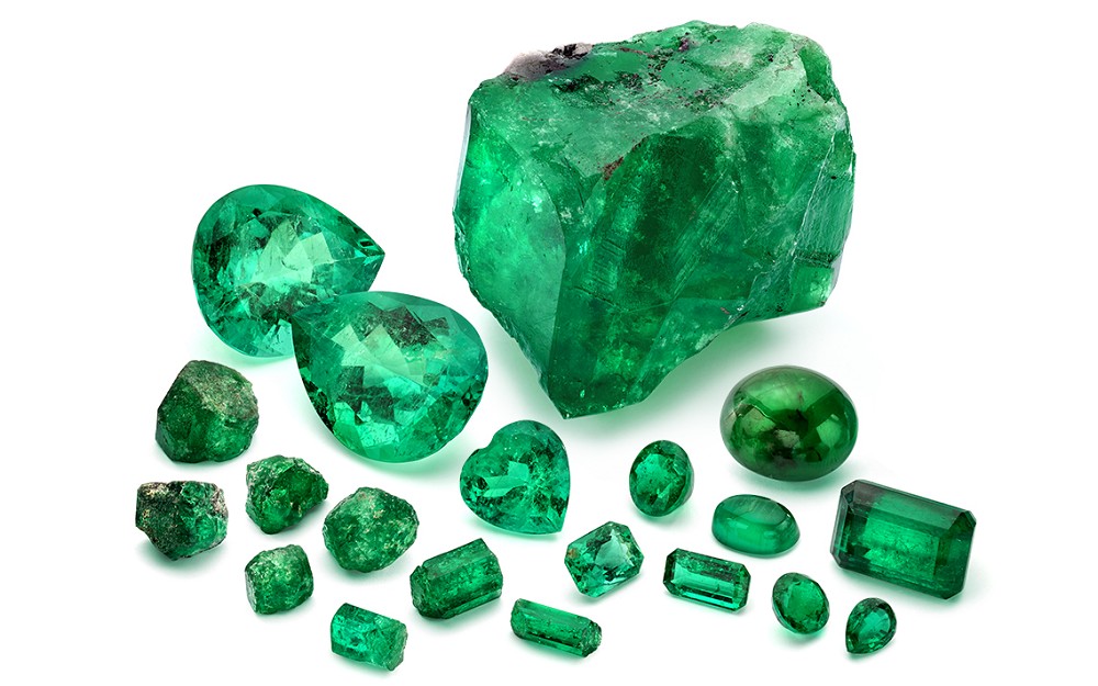 谁能想到它们是一个家族的！（下）