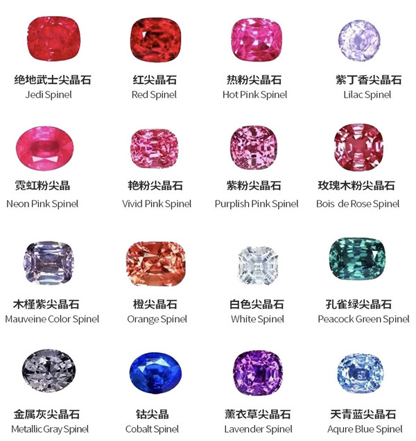 微信图片_20231025154459_副本.jpg