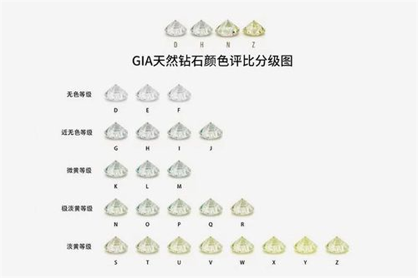 v2-826e82fc47f4197302a1c506bddd7945_720w_副本.png