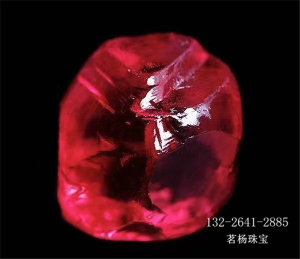 微信图片_20220928111205_副本.jpg